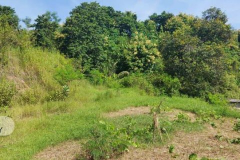 7000m2 Land in Lovina, Anturan, Buleleng, Indonesia No. 7664 8