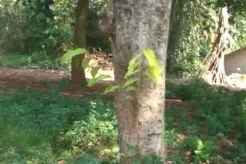 Land in Bogor City, Indonesia No. 6878 4