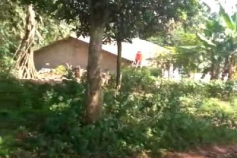Land in Bogor City, Indonesia No. 6878 3