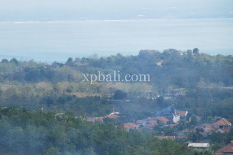 13500m2 Land in South Kuta, Badung, Indonesia No. 7983 2