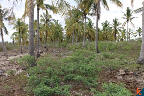 Land in Central Lombok, Indonesia No. 13527 2