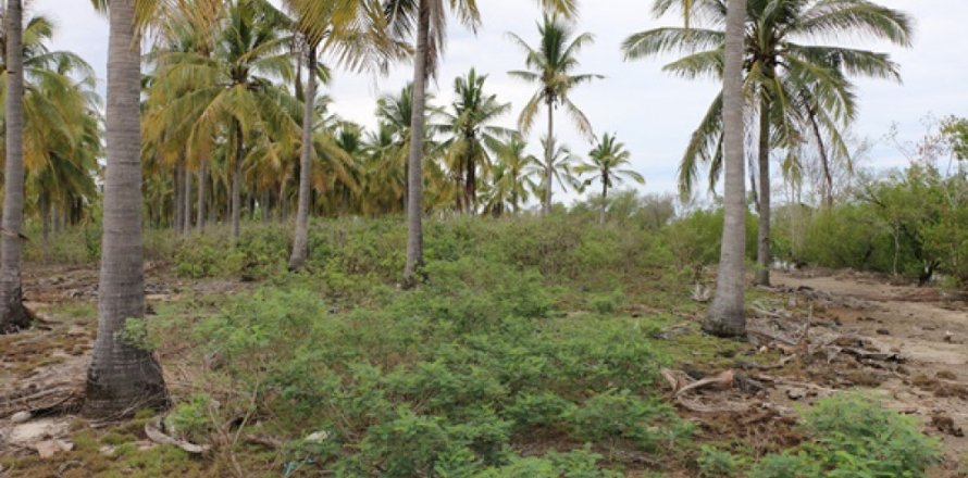 Land in Central Lombok, Indonesia No. 13527