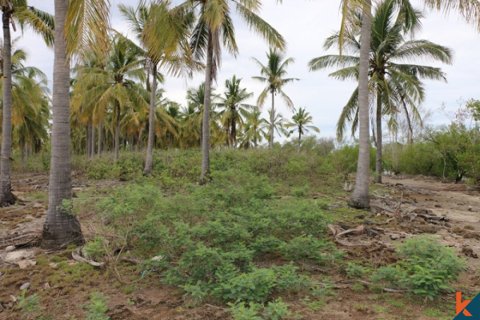 Land in Central Lombok, Indonesia No. 13526 2