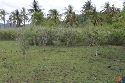 Land in Central Lombok, Indonesia No. 13525 2