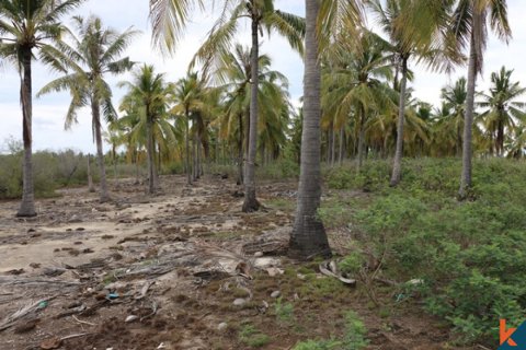 Land in Central Lombok, Indonesia No. 13525 4