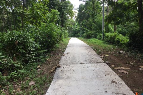 Land in Tabanan, Indonesia No. 13524 6