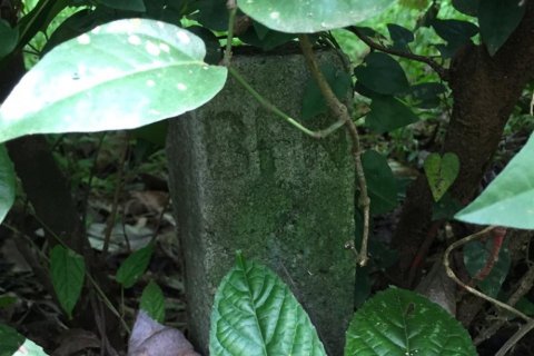 Land in Tabanan, Indonesia No. 13524 3