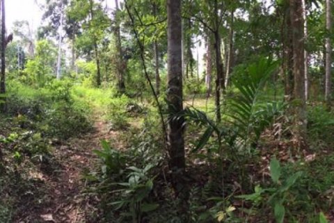 Land in Tabanan, Indonesia No. 13524 4