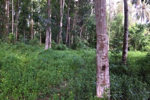 Land in Tabanan, Indonesia No. 13524 5