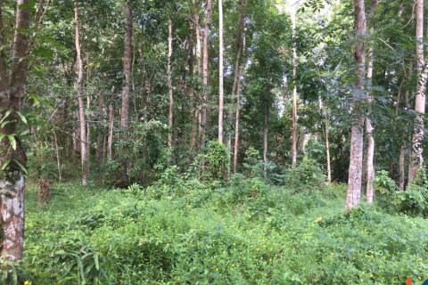 Land in Tabanan, Indonesia No. 13524 2
