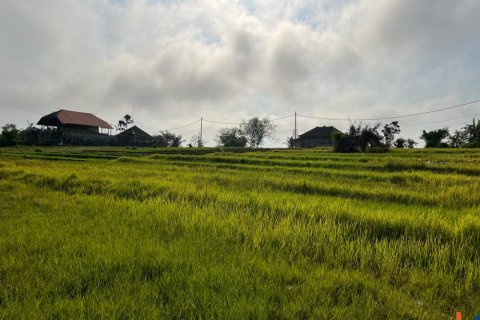 Land in Mengwi, Badung, Indonesia No. 10604 6