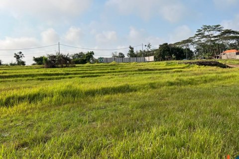 Land in Mengwi, Badung, Indonesia No. 10604 5