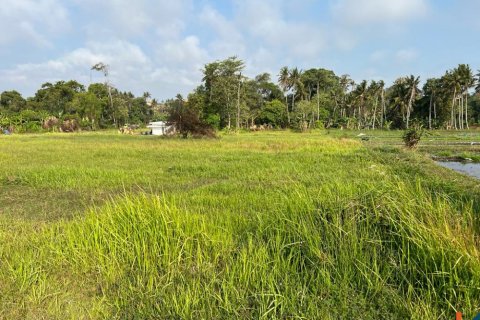 Land in Mengwi, Badung, Indonesia No. 10604 4