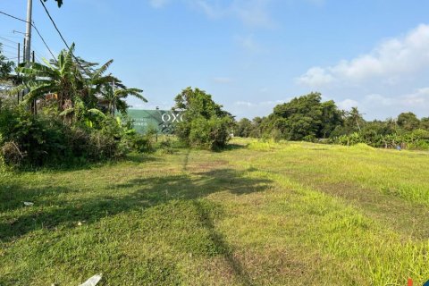 Land in Mengwi, Badung, Indonesia No. 10604