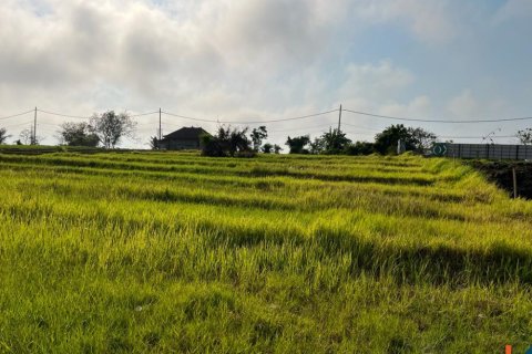 Land in Mengwi, Badung, Indonesia No. 10604 3