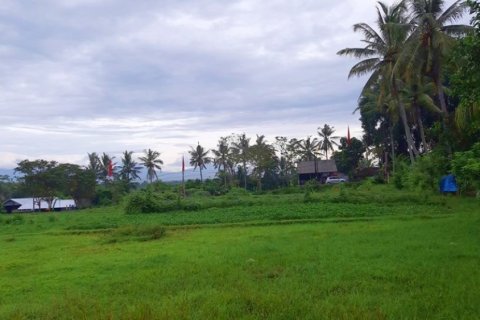 Land in Mengwi, Badung, Indonesia No. 11669 3