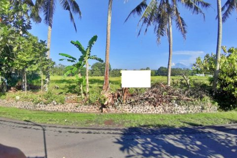 Land in Mengwi, Badung, Indonesia No. 11669