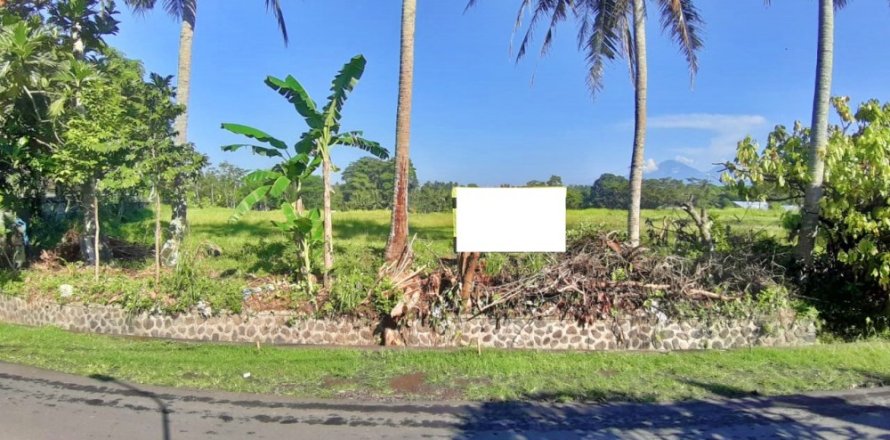Land in Mengwi, Badung, Indonesia No. 11669