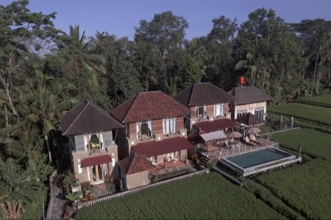 7 bedrooms Villa in Ubud, Gianyar, Indonesia No. 11670