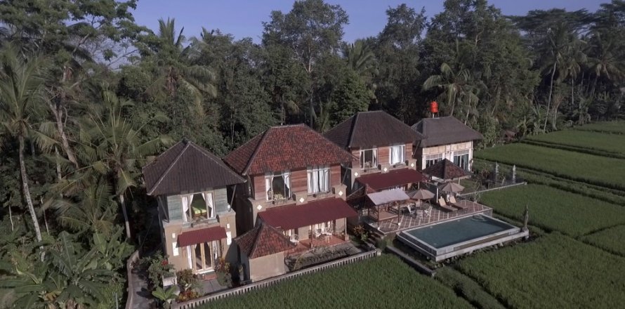 7 bedrooms Villa in Ubud, Gianyar, Indonesia No. 11670
