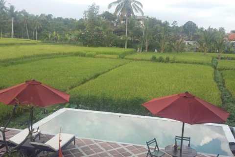 7 bedrooms Villa in Ubud, Gianyar, Indonesia No. 11670 6
