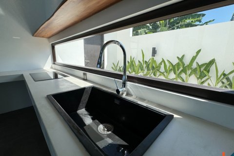 2 bedrooms Villa in Ubud, Gianyar, Indonesia No. 11248 9