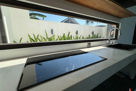2 bedrooms Villa in Ubud, Gianyar, Indonesia No. 11248 8