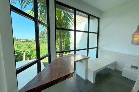 2 bedrooms Villa in Ubud, Gianyar, Indonesia No. 11239 15