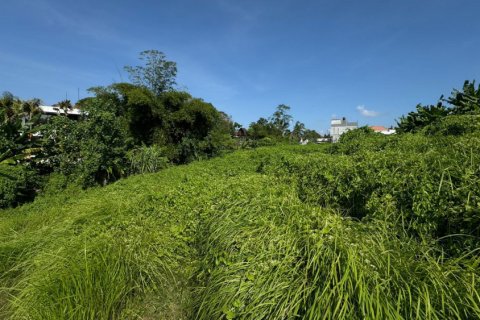 Land in Denpasar, Indonesia No. 11240 7