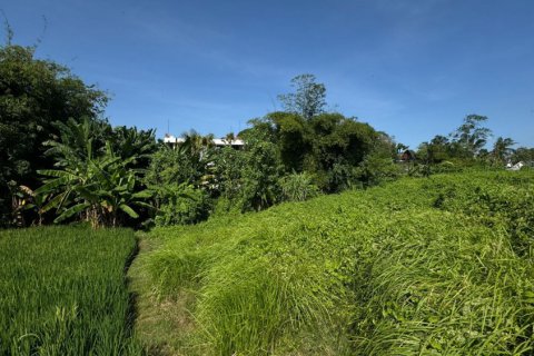 Land in Denpasar, Indonesia No. 11240 6