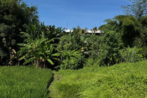 Land in Denpasar, Indonesia No. 11240 2