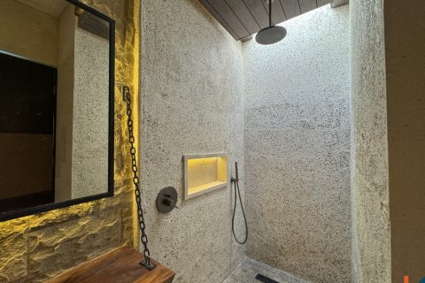 2 bedrooms Villa in Ubud, Gianyar, Indonesia No. 11249 16