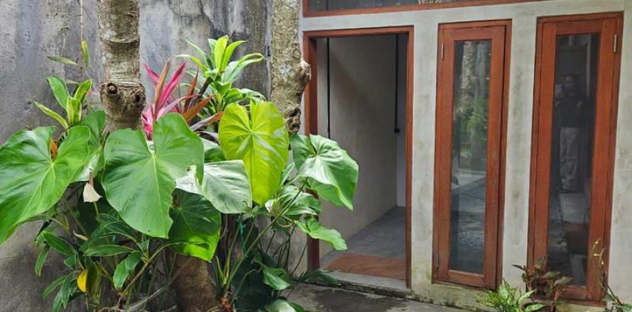 Вилла с 2 спальнями в Canggu, Бадунг, Индонезия № 8841