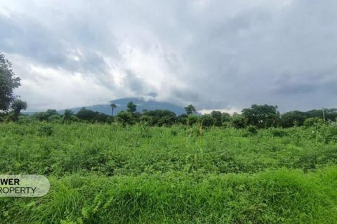 Земельный участок 7887м2 в Karangasem, Карангасем, Индонезия № 8923 6