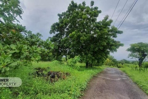 Земельный участок 7887м2 в Karangasem, Карангасем, Индонезия № 8923 2