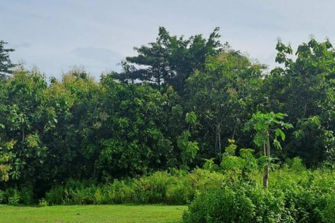 Земельный участок 997м2 в Южная Кута, Бадунг, Индонезия № 9060 4