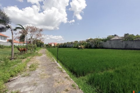 Land in Seminyak, Badung, Indonesia No. 11626 5