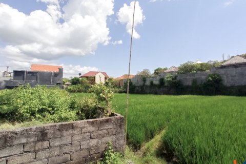 Land in Seminyak, Badung, Indonesia No. 11626 10