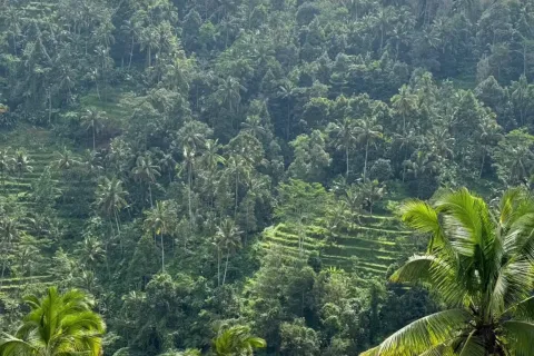 Land in Sidemen, Karang Asem, Indonesia No. 10247 6