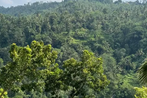 Land in Sidemen, Karang Asem, Indonesia No. 10247 5