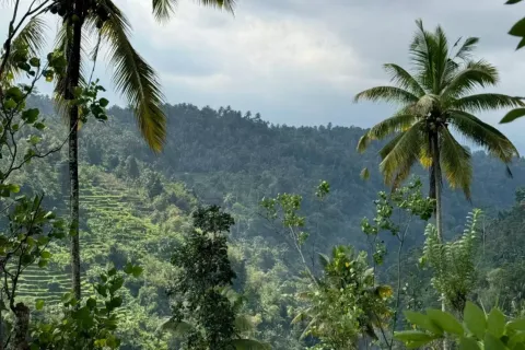 Land in Sidemen, Karang Asem, Indonesia No. 10247 4