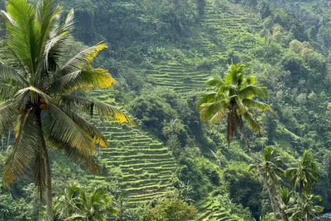 Land in Sidemen, Karang Asem, Indonesia No. 10247 7