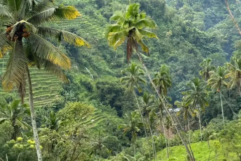 Land in Sidemen, Karang Asem, Indonesia No. 10247 3