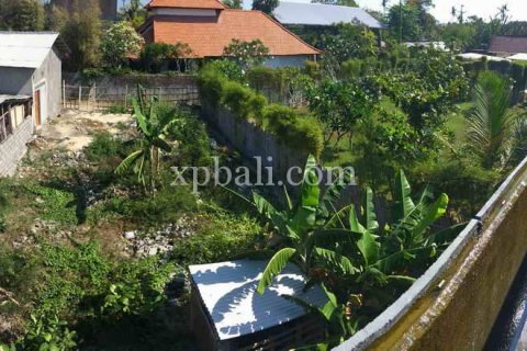 1900m2 Land in Nusa Dua, Badung, Indonesia No. 478 2