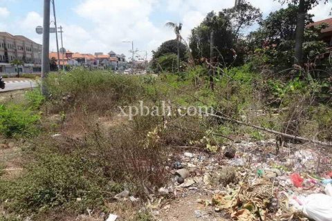 2500m2 Land in Kuta, Badung, Indonesia No. 474 2