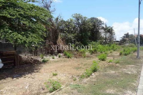 2500m2 Land in Kuta, Badung, Indonesia No. 474 8