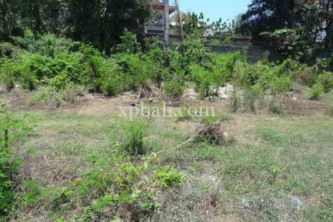 2500m2 Land in Kuta, Badung, Indonesia No. 474 4