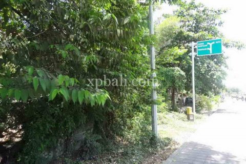 2500m2 Land in Kuta, Badung, Indonesia No. 474 12