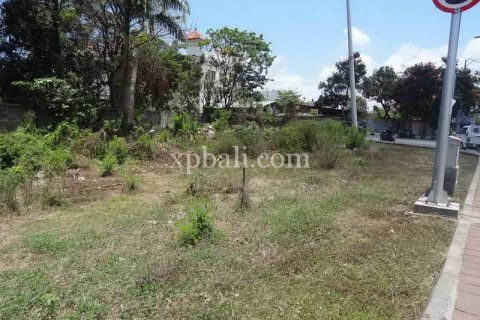 2500m2 Land in Kuta, Badung, Indonesia No. 474 5
