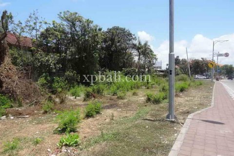 2500m2 Land in Kuta, Badung, Indonesia No. 474 6